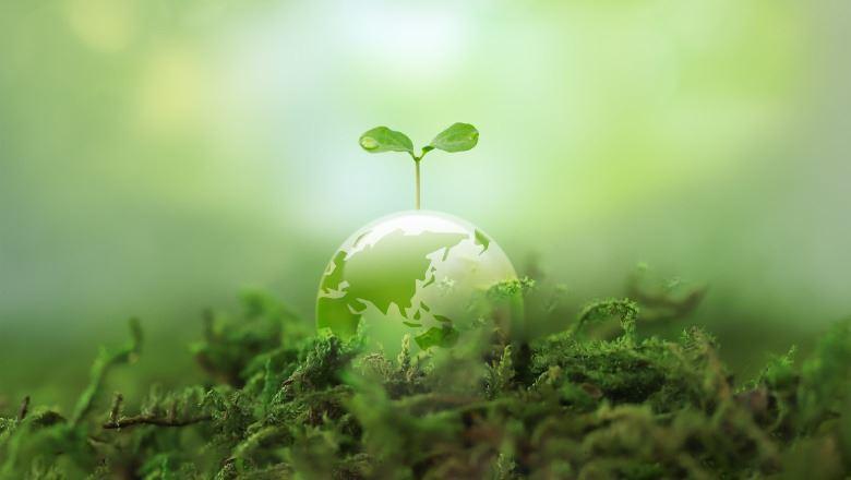 How to Composting in a Small Apartment